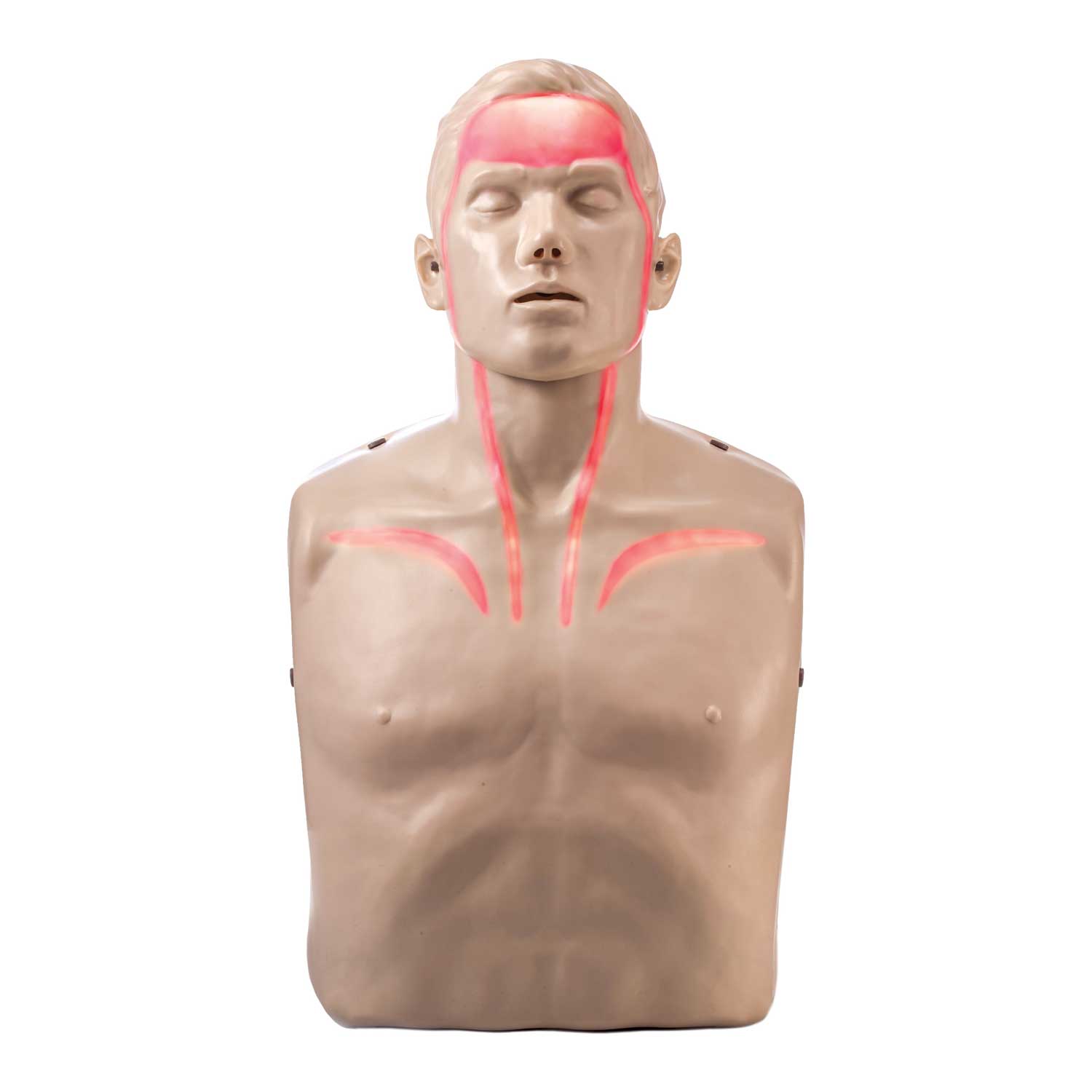 Brayden CPR Manikin with Blood Flow | Red Lights | 4 Pack with Trolley Bag