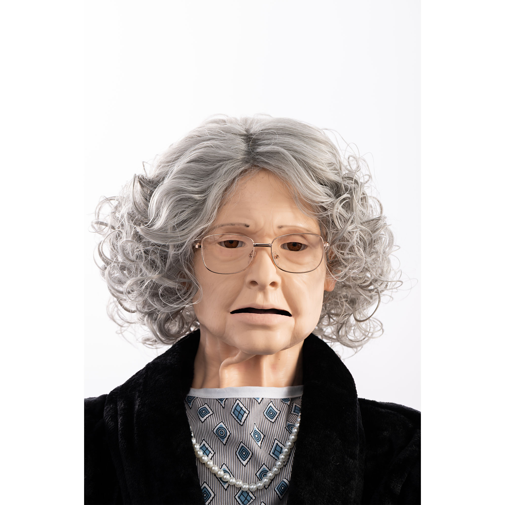 TERi Elderly Patient Skills Trainer | Light