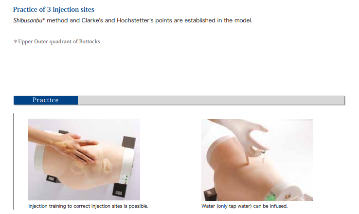 Intramuscular Injection Model | Type 2 | Sakamoto Model Corporation | Available from LivCor Australia