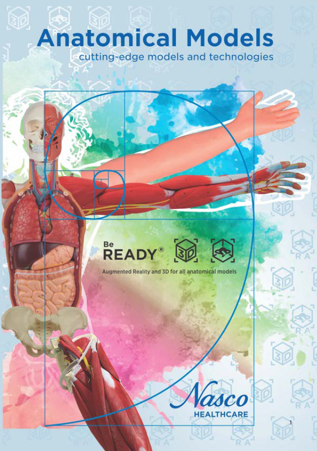 Nasco Healthcare Anatomical Models Catalogue | Online & PDF Available