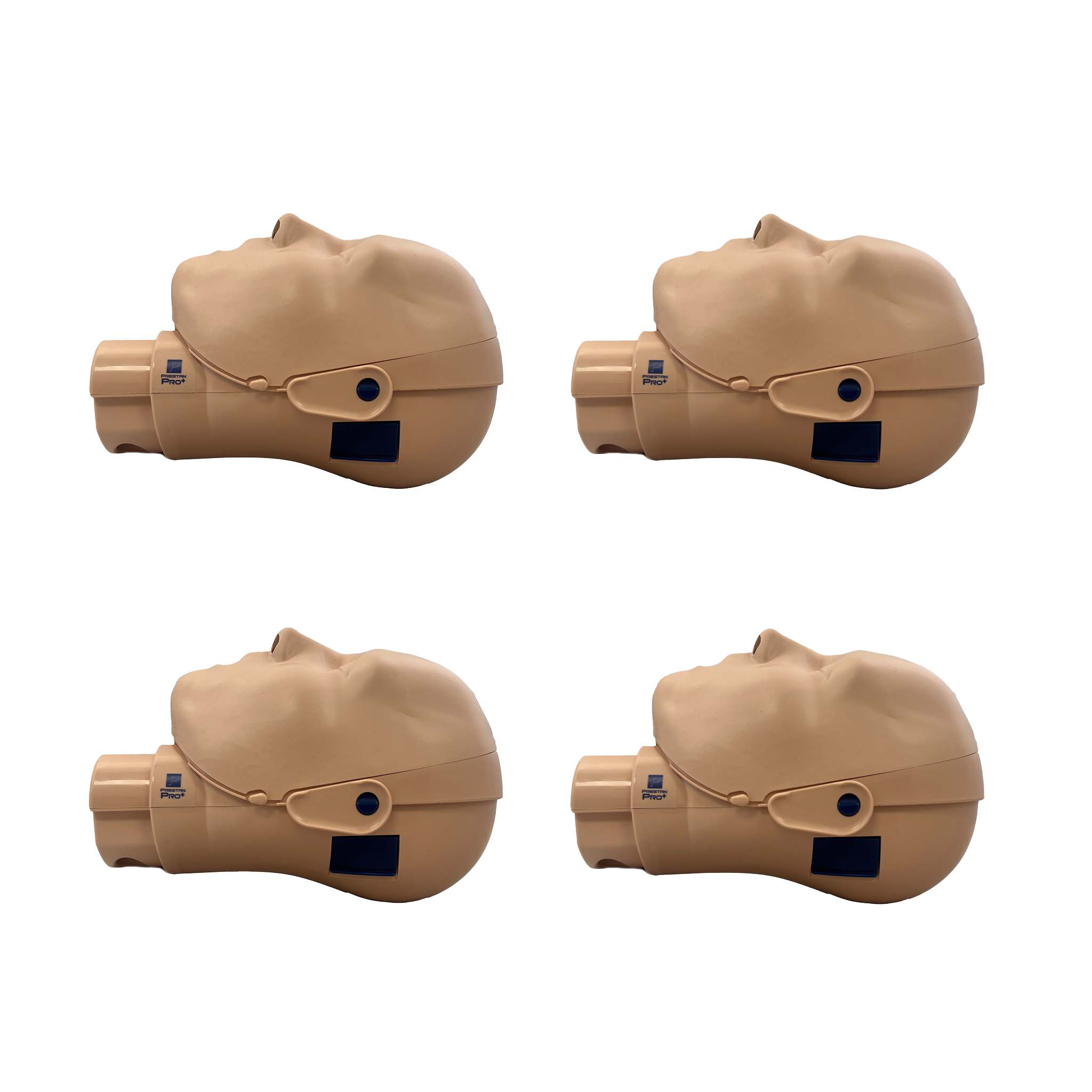PRESTAN PRO+ Adult Head | 4 Pack, Medium