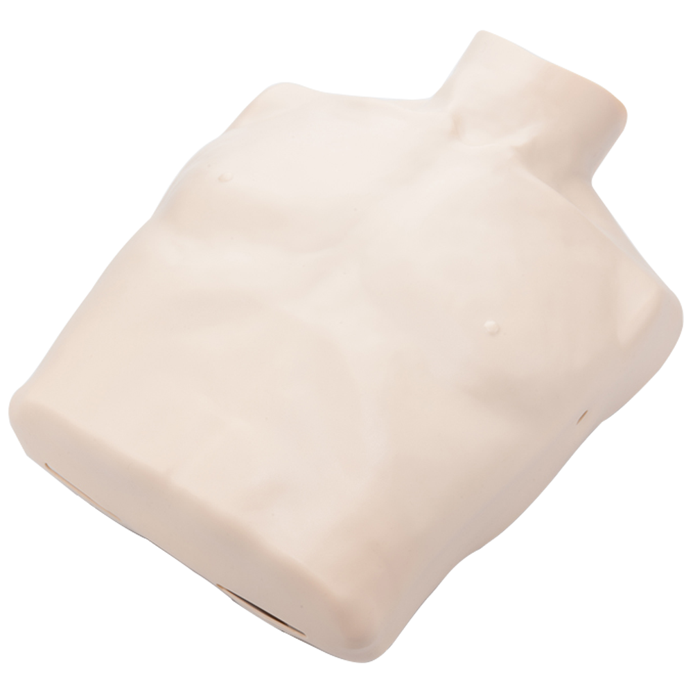 Brayden Manikin Body Skin | Adult