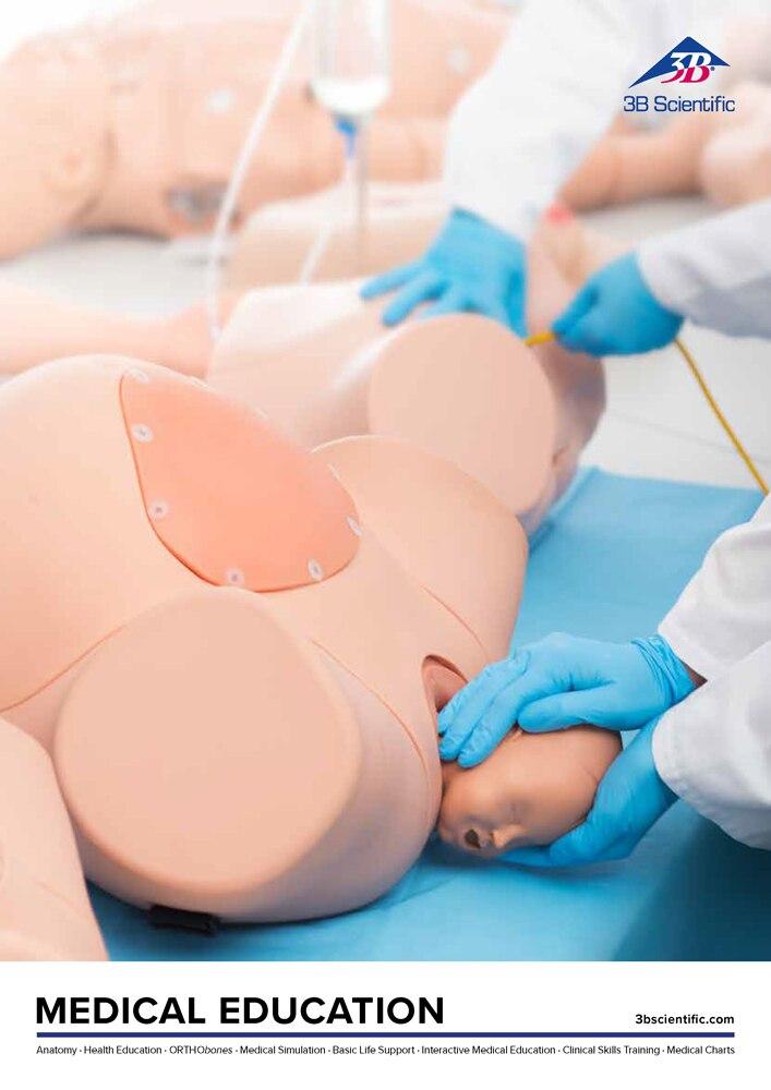 3B Scientific Catalogue