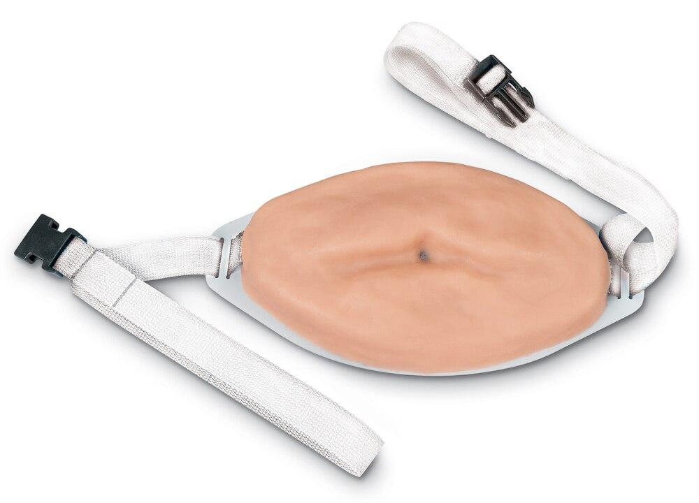 Advanced Injection Belly | Nasco | Available from LivCor Australia