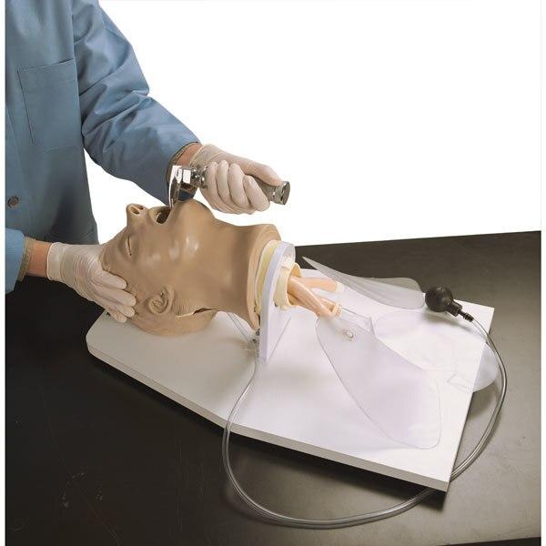 Airway Larry Airway Trainer | Nasco | Available from LivCor Australia