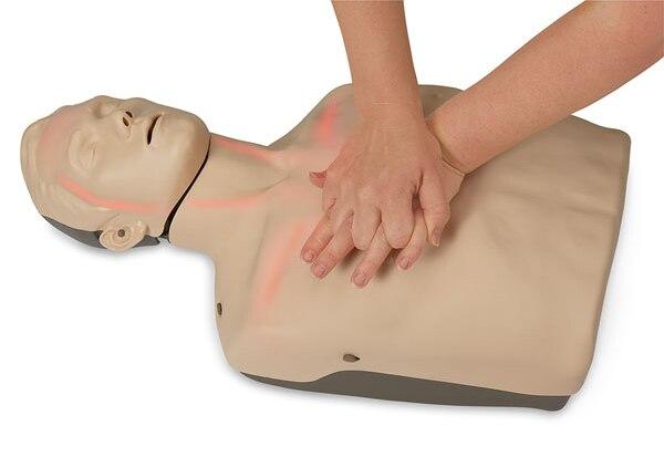 Brayden Manikin Red Display | Aero | Available from LivCor Australia