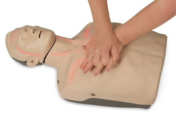 Brayden Manikin Red Display | Aero | Available from LivCor Australia