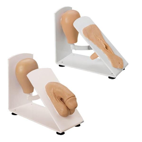 Catheterisation Training Model: Male & Female Set | Nasco | Available from LivCor Australia