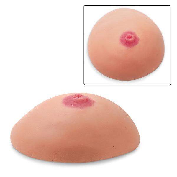 Common Breast Conditions Replicas | Set of 4 | Nasco | Available from LivCor Australia