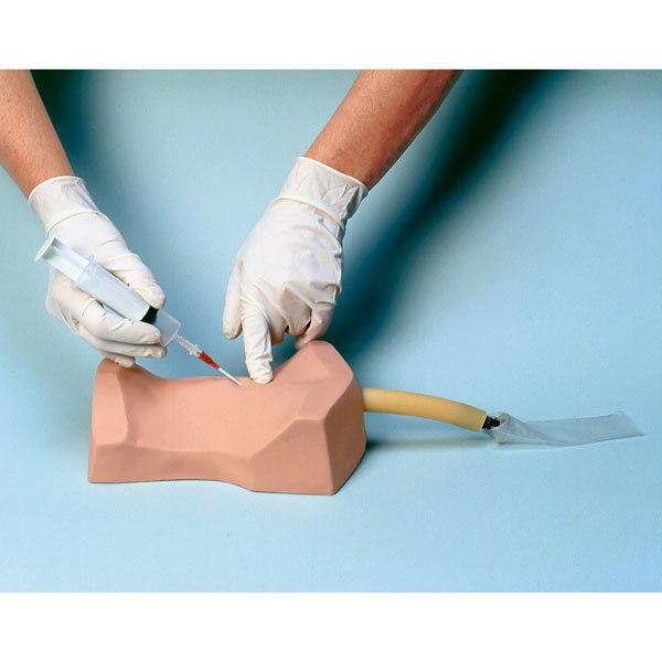 Deluxe Cricothyrotomy Simulator | Nasco | Available from LivCor Australia