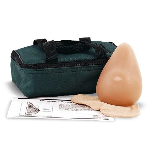 Fibrocystic Breast Model | Nasco | Available from LivCor Australia