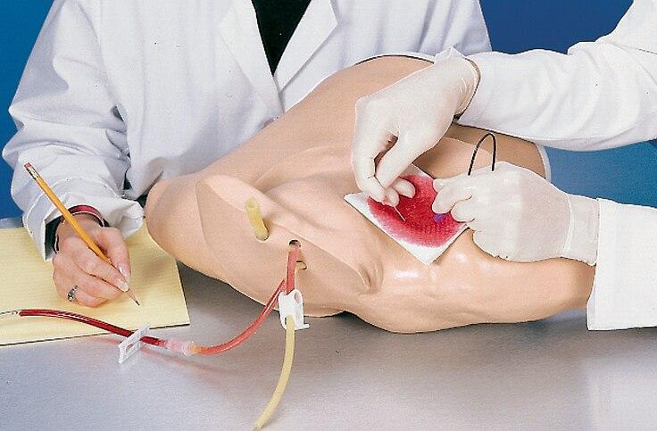 Heart Catheterization Simulator | Nasco | Available from LivCor Australia