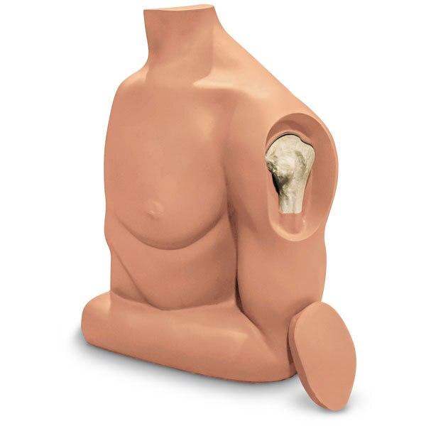 Humerus Intraosseous (IO) Trainer | Nasco | Available from LivCor Australia