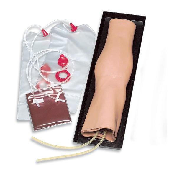 IV Training Arm | Nasco | Available from LivCor Australia