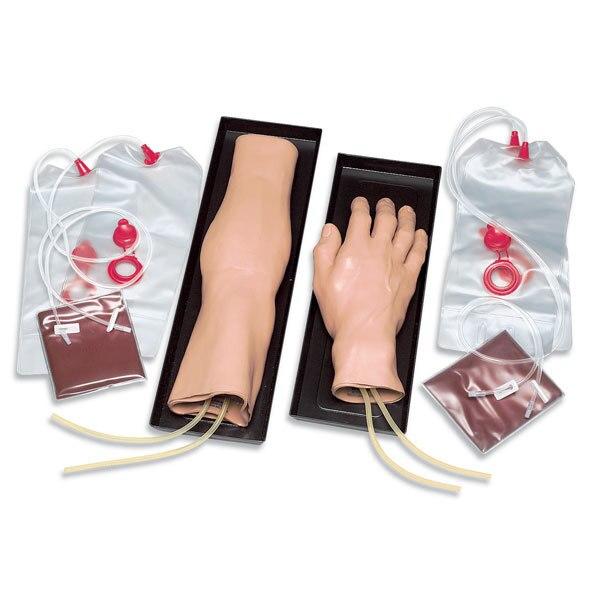 IV Training Arm & Hand Set | Nasco | Available from LivCor Australia