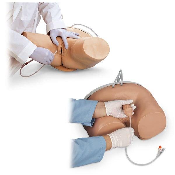 Male & Female Catheterisation Simulator Set | Nasco | Available from LivCor Australia