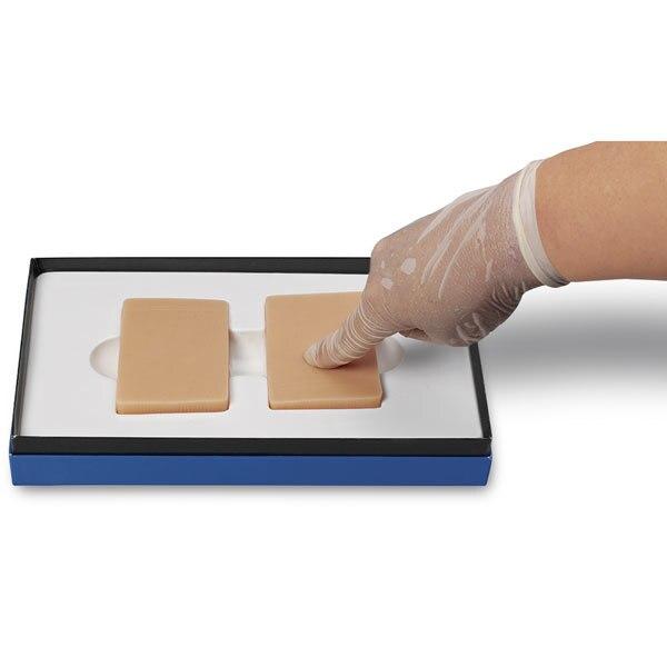 Non-Pitting Edema Trainer | Nasco | Available from LivCor Australia