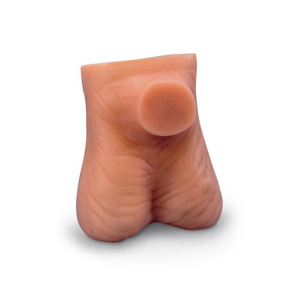 Testicle Model | Nasco | Available from LivCor Australia