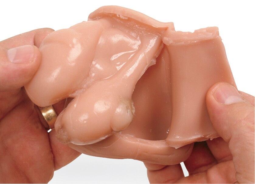 Testicle Model : 2 Lumps in 1 Testicle | Nasco | Available from LivCor Australia