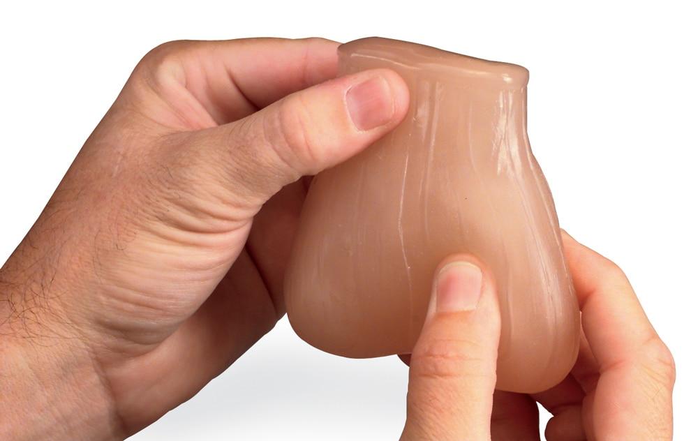 Testicle Model : 2 Lumps in Each Testicle | Nasco | Available from LivCor Australia