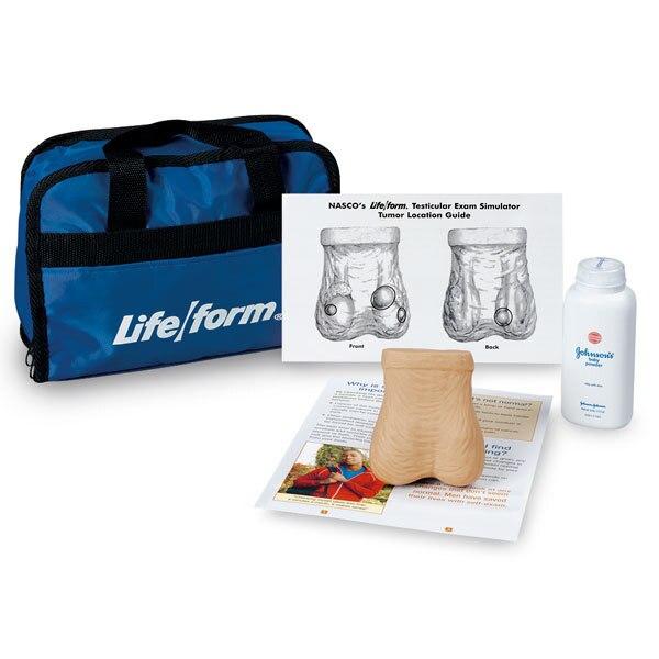 Testicular Exam Simulator | Nasco | Available from LivCor Australia
