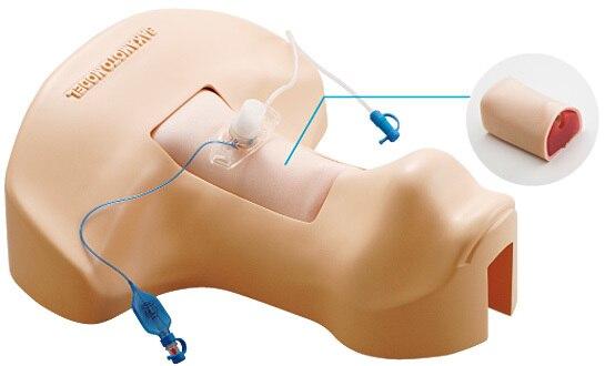 Tracheotomy Trainer | Sakamoto Model Corporation | Available from LivCor Australia
