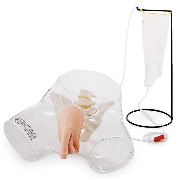 Transparent Catheter Model: Male | Nasco | Available from LivCor Australia