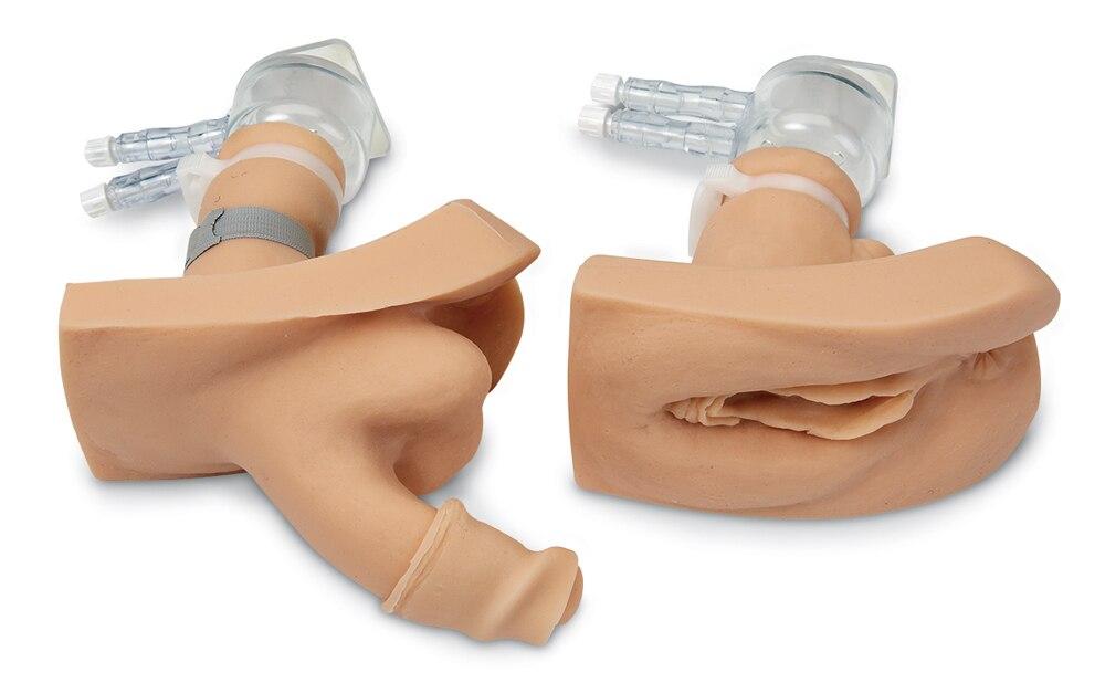 Willi and Cathi Catheterisation Trainers | Nasco | Available from LivCor Australia