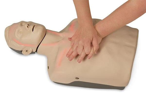 Brayden CPR Manikin with Blood Flow | Red Lights | 4 Pack with Trolley Bag