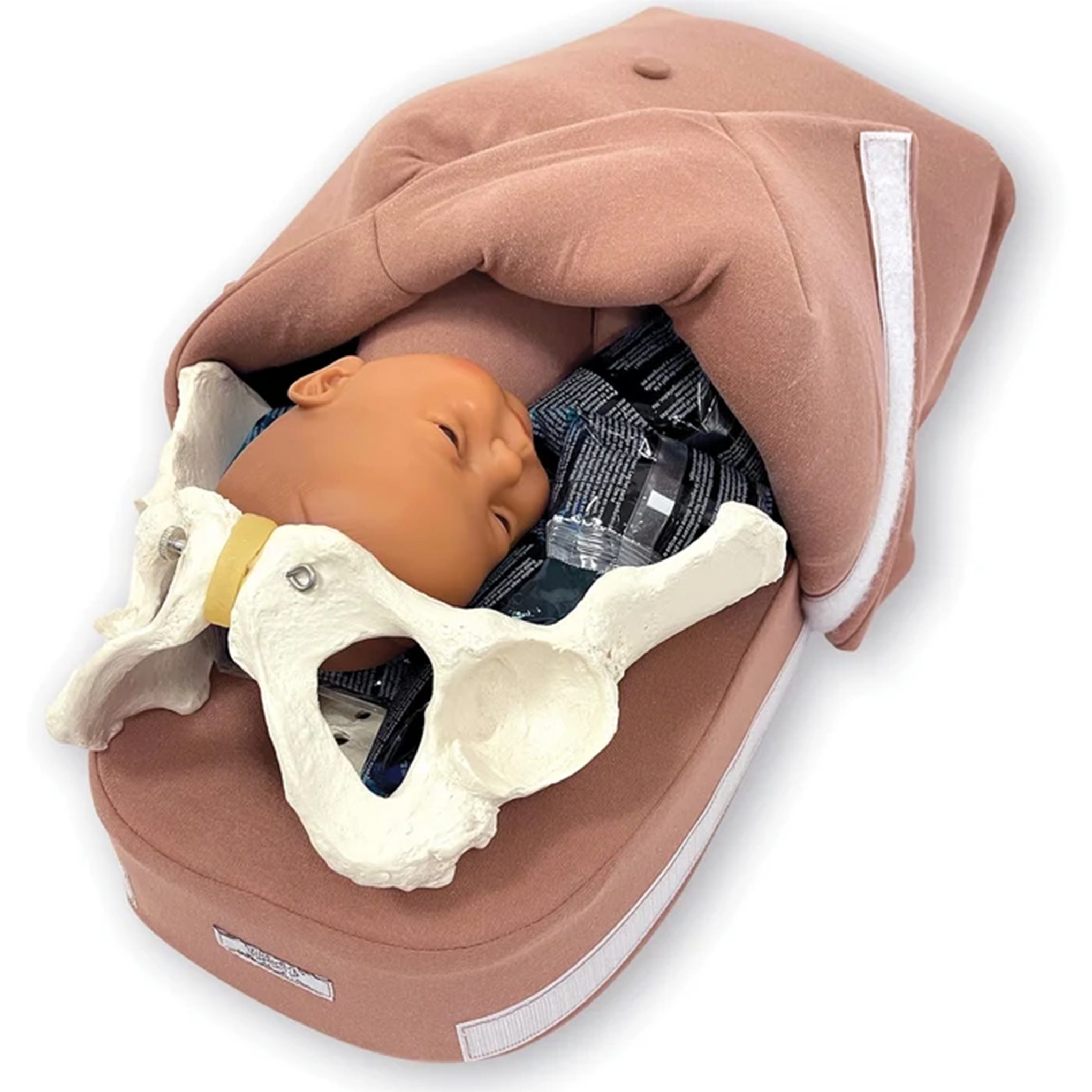 Abdominal Palpation Model