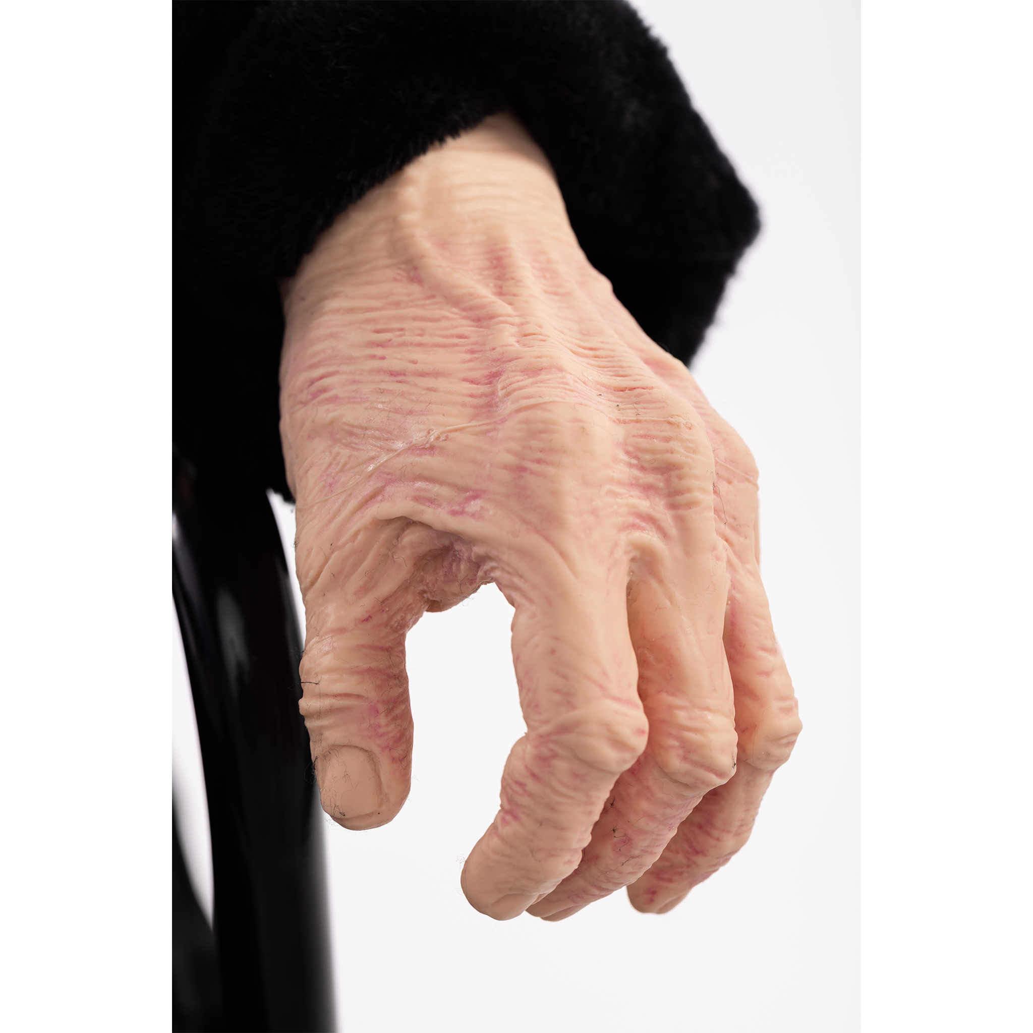 TERi Elderly Patient Skills Trainer | Light