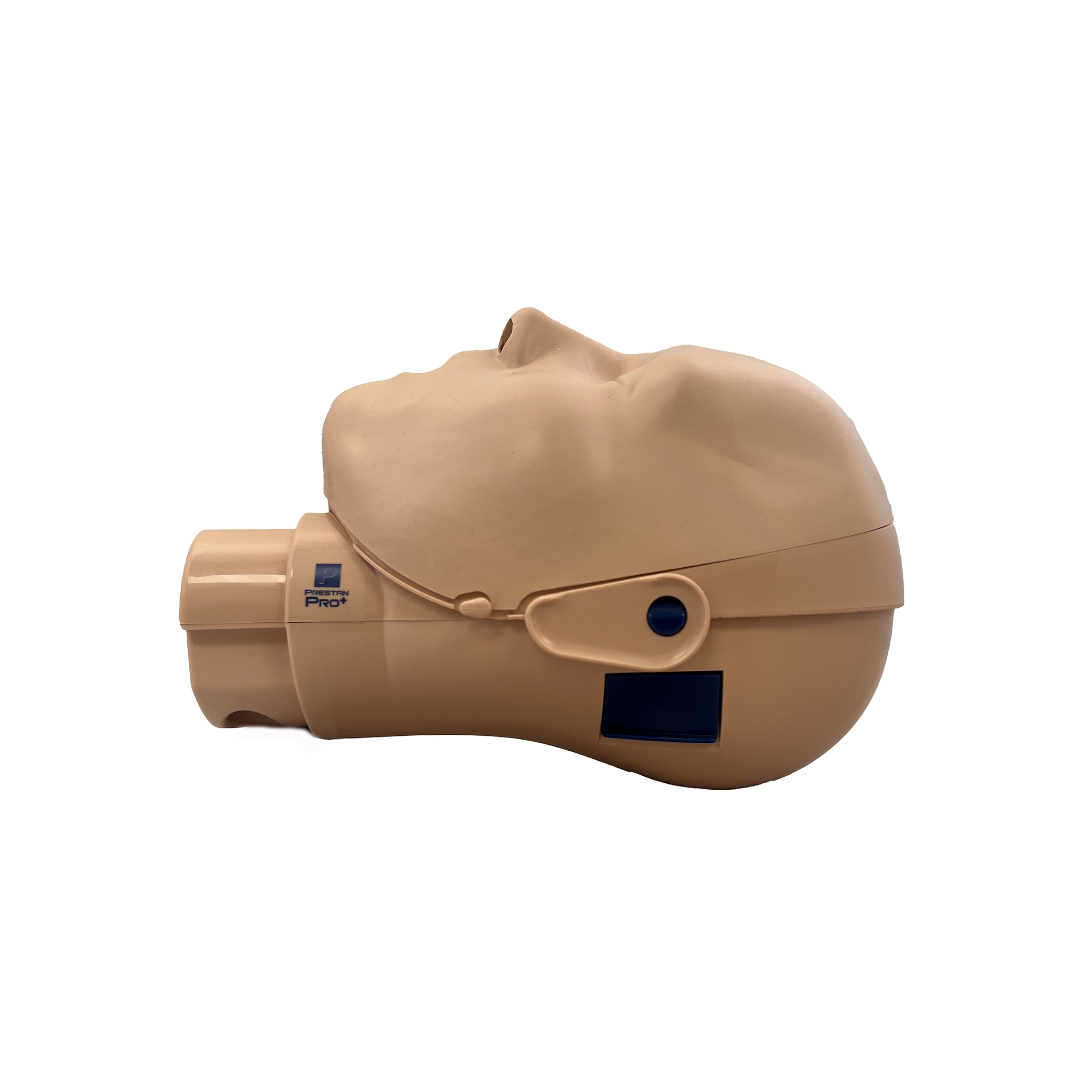 PRESTAN PRO+ Adult Head | 4 Pack, Medium