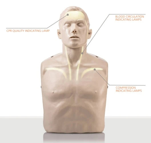Brayden CPR Manikin with Blood Flow | Red Lights | 4 Pack with Trolley Bag | Brayden | Available from LivCor Australia