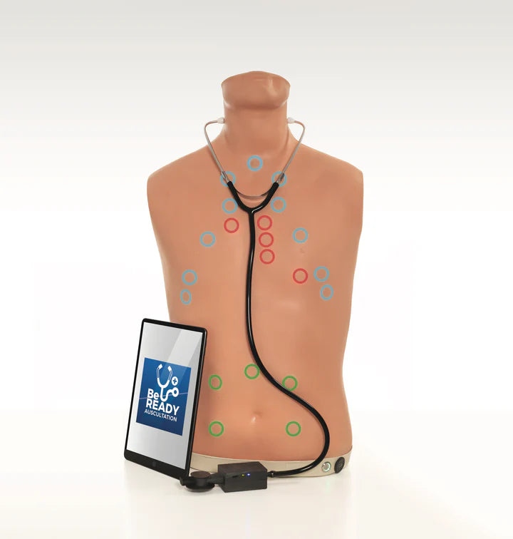 Life/form | Auscultation Trainer 2.0 - Light | Nasco | Available from LivCor Australia