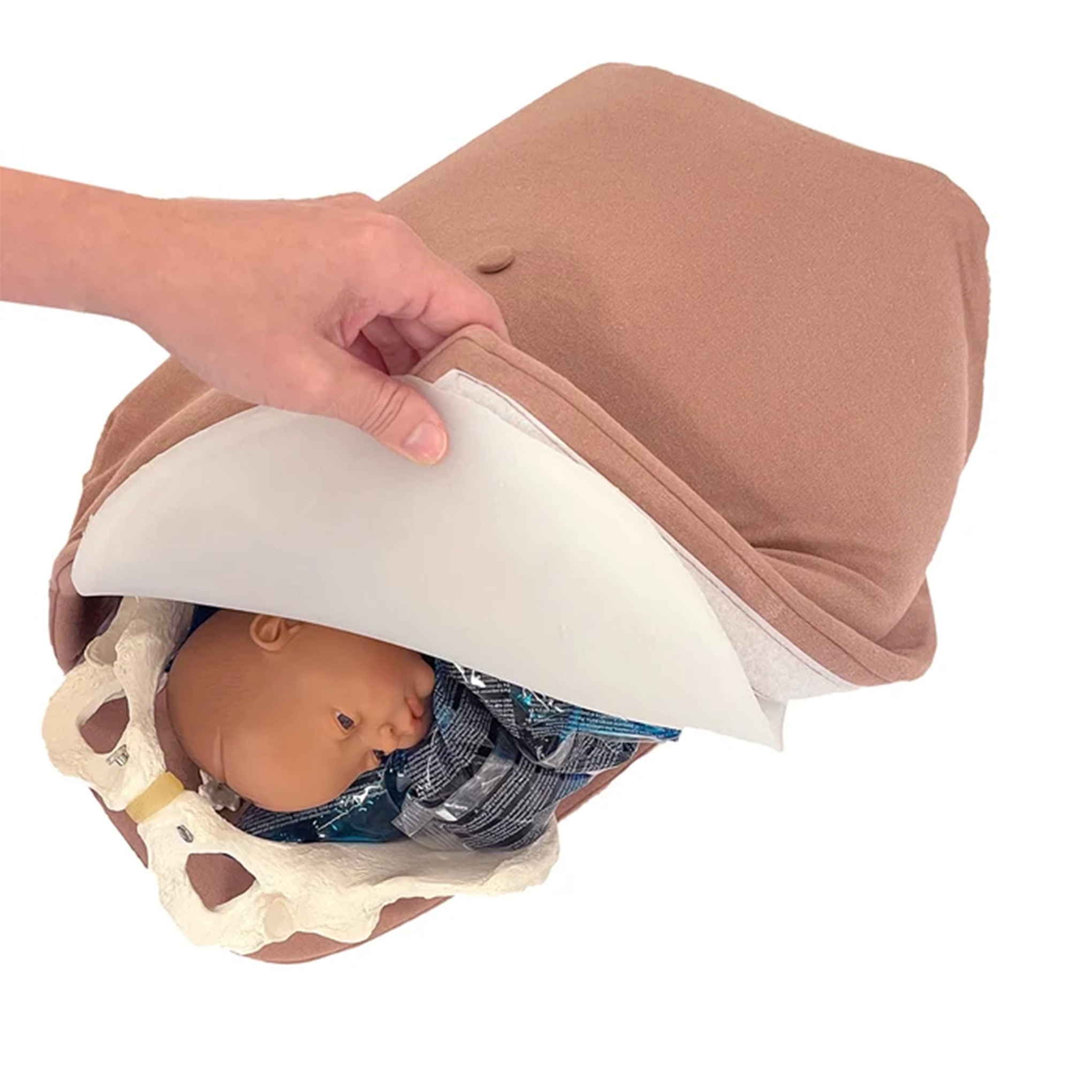 Abdominal Palpation Model