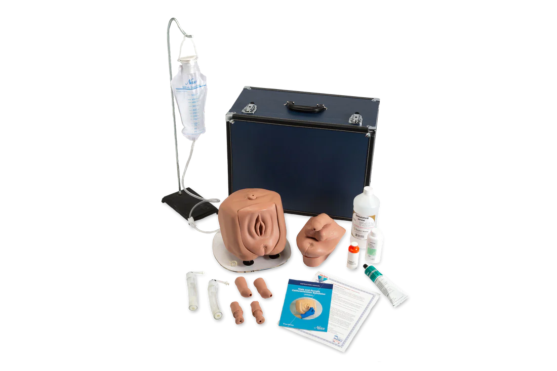 Life/form Male/Female Catheterization Simulator | Light Skin Tone