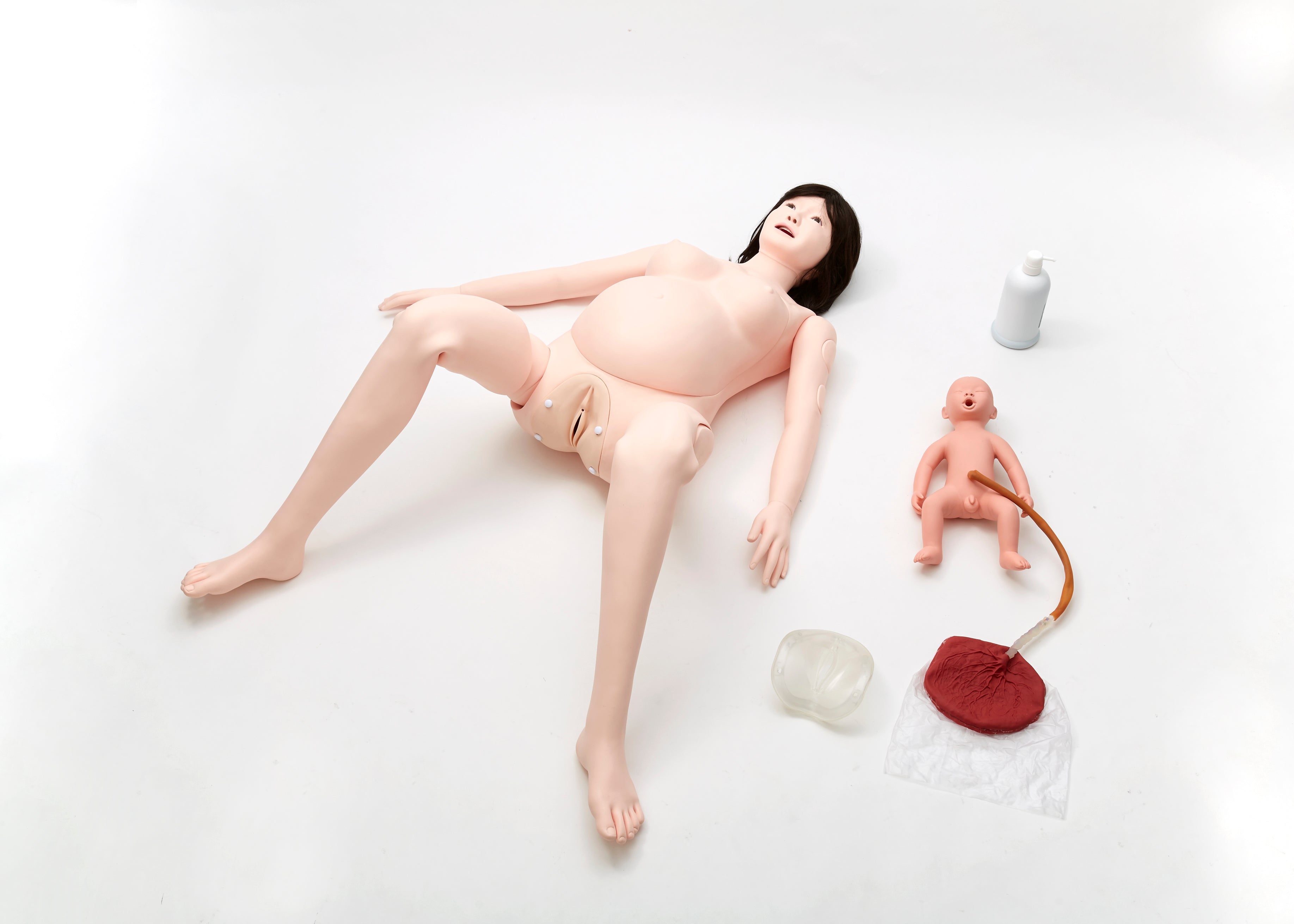 Whole Body Pregnant Model 2