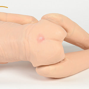 TERi Geriatric Patient | Full-Body Manikin | Nasco | Available from LivCor Australia