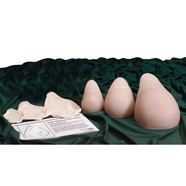 A-B-C Breast Examination Set | Nasco | Available from LivCor Australia