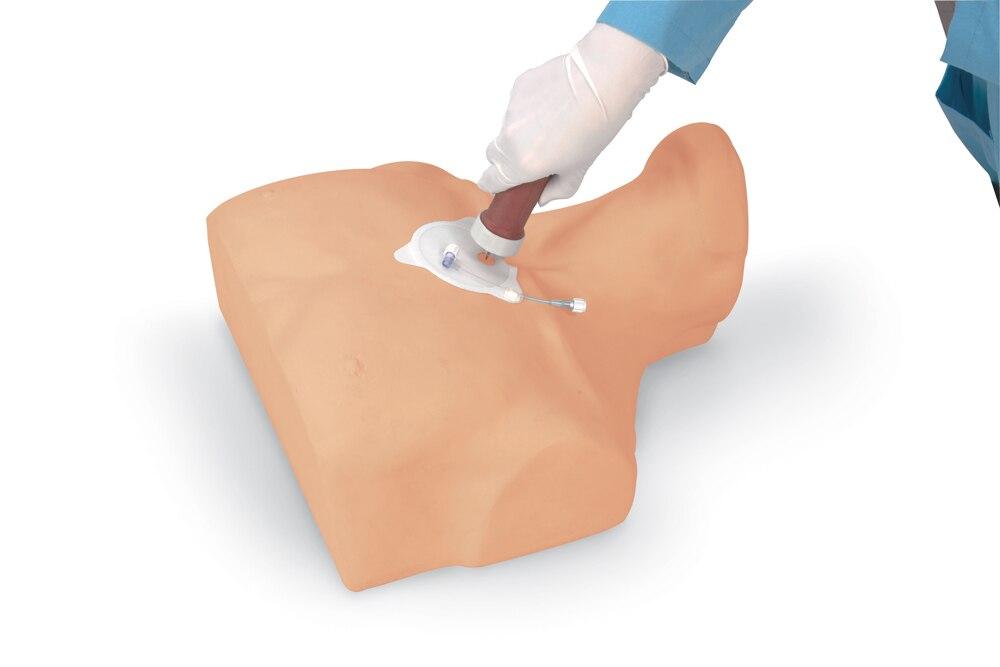 Adult Sternal Intraosseous Infusion Simulator | Nasco | Available from LivCor Australia