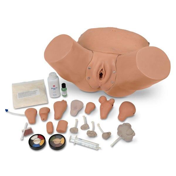 Advanced Pelvic Examination and Gynecological Simulator | Nasco | Available from LivCor Australia