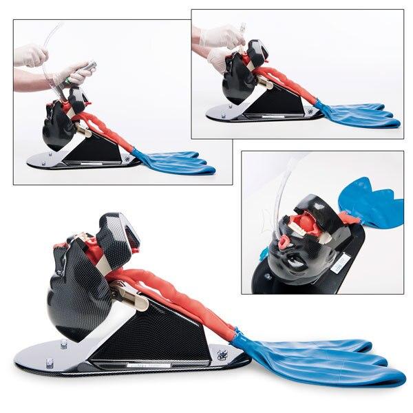 Buy Multi Airway Training Model | LivCor