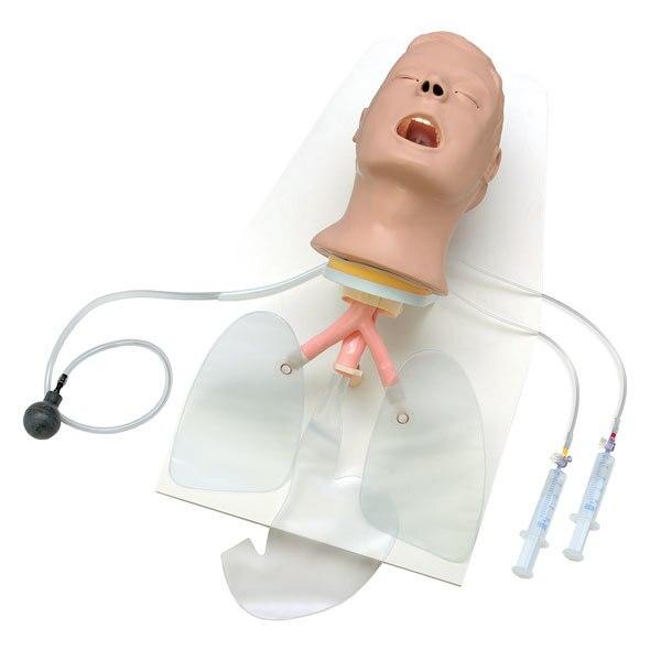 “Airway Larry” Advanced Trainer Head with Stand | Nasco | Available from LivCor Australia