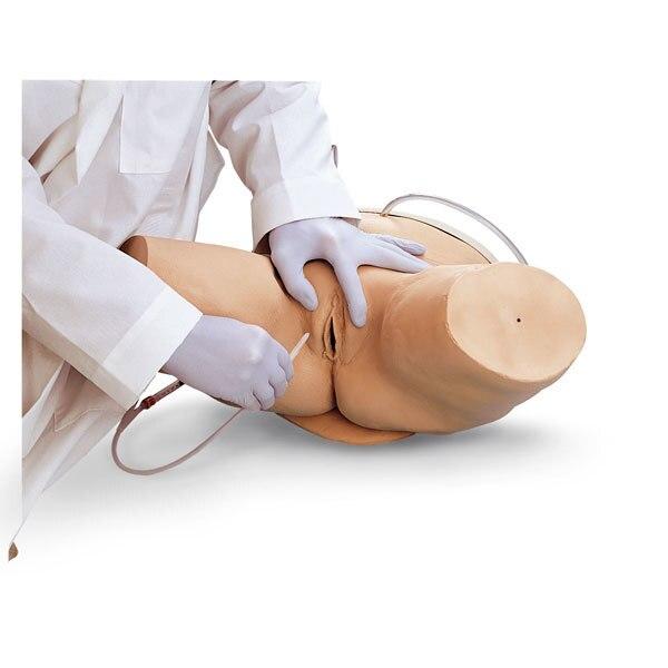 Catheterisation Simulator (Female) | Nasco | Available from LivCor Australia