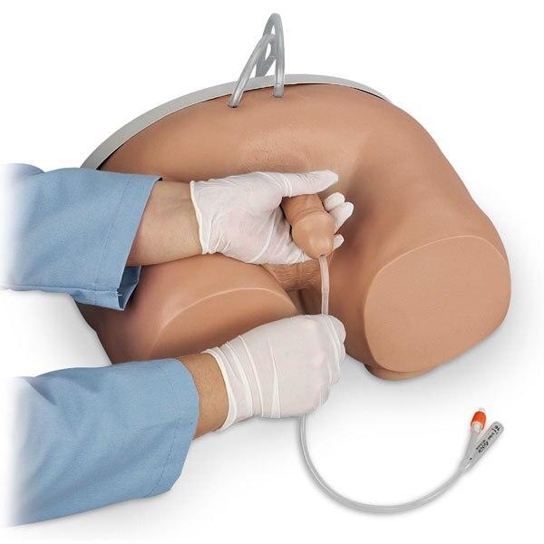 Catheterisation Simulator (Male) | Nasco | Available from LivCor Australia