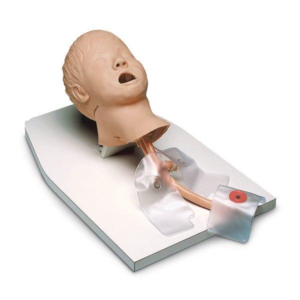 Child Airway Management Trainer with Stand | Nasco | Available from LivCor Australia