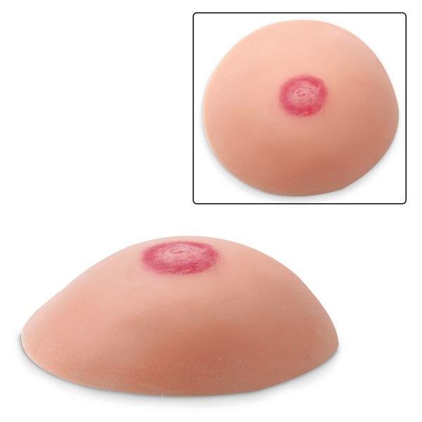 Common Breast Conditions Replicas | Set of 4 | Nasco | Available from LivCor Australia