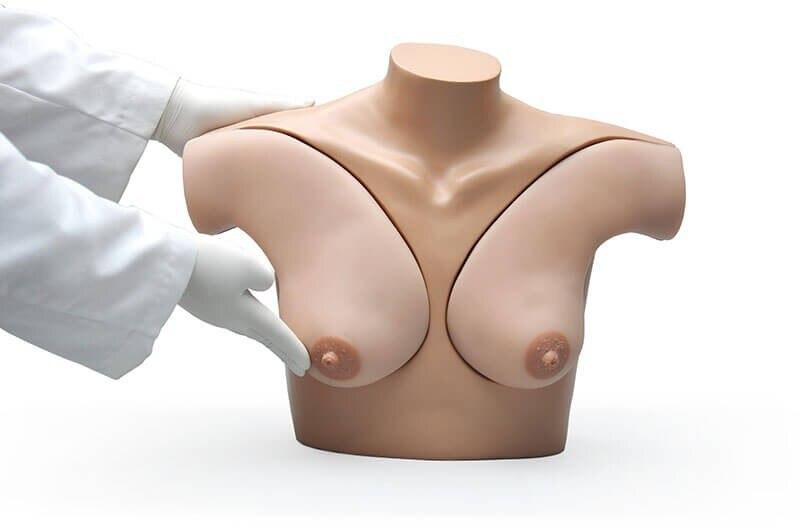 Gaumard Breast Self-Examination Simulator | Nasco | Available from LivCor Australia