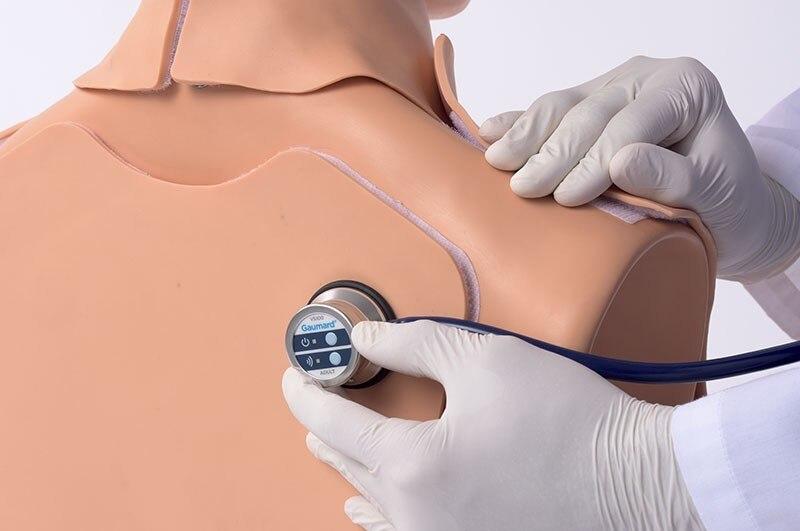 Gaumard HAL Heart and Lung Sounds Adult Torso | Nasco | Available from LivCor Australia