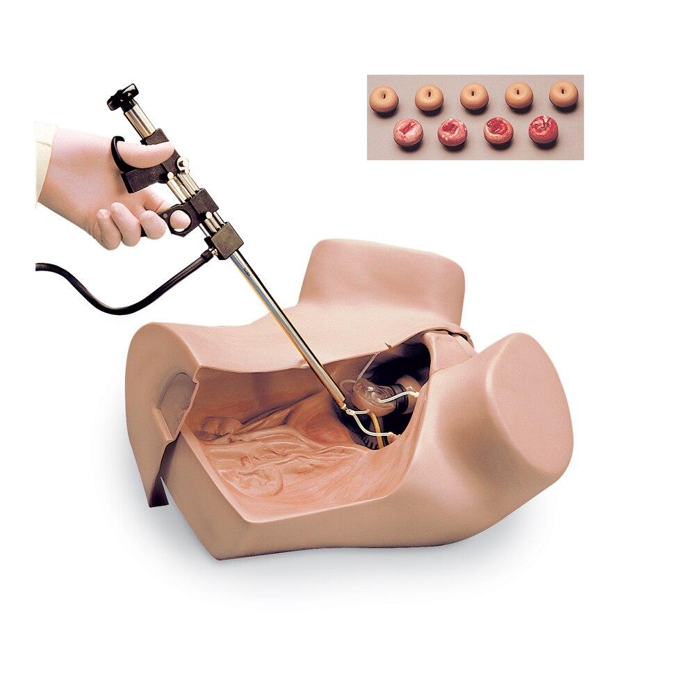 Gaumard Zoe Gynecologic Simulator | Nasco | Available from LivCor Australia